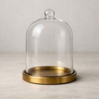 Glass Terrarium Dome