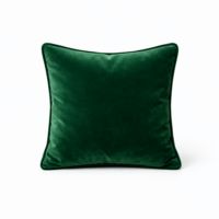 Velvet Accent Pillow