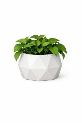 decor-78_2.jpg