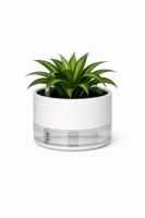 Self-Watering Plastic Planter