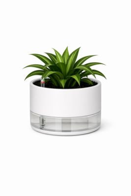decor-79_2.jpg