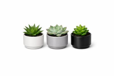 decor-83_2.jpg