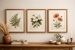 decor-1_2.jpg