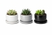 decor-72_2.jpg