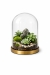 decor-75_2.jpg