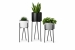 decor-76_2.jpg