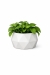 decor-78_2.jpg