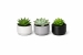 decor-83_2.jpg